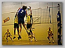 img_6551.jpg