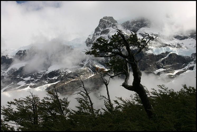 Chile 2005