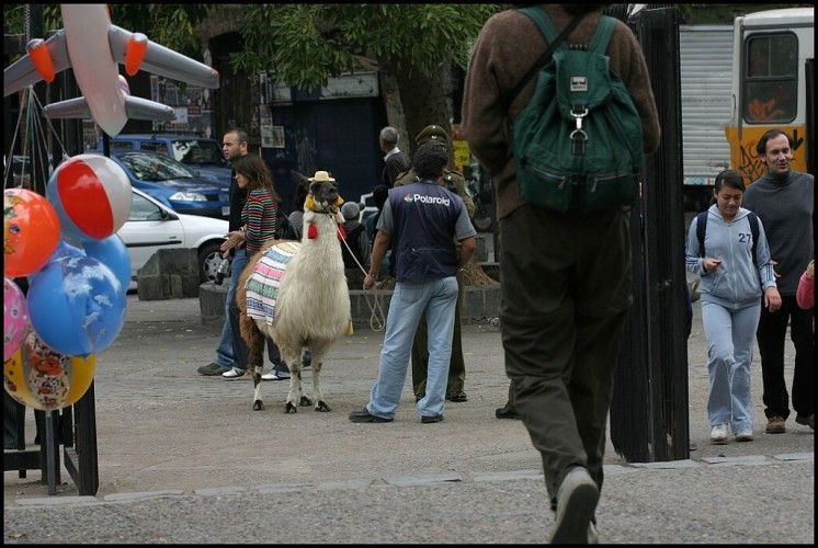 Chile 2005