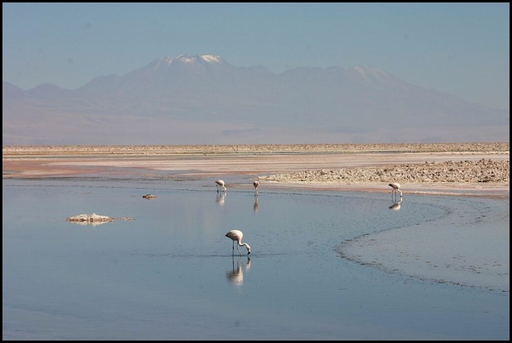 Chile 2005