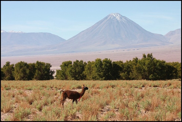 Chile 2005