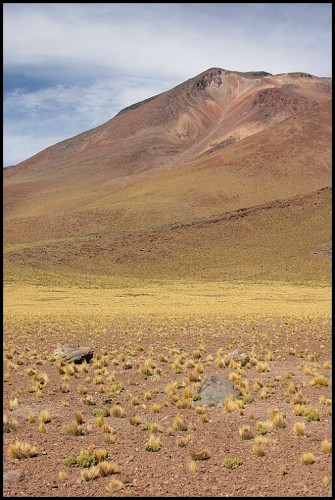 Chile 2005